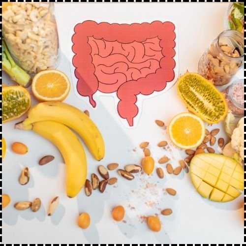 Balanced Diet for Optimal Digestion - Healix Hospitals