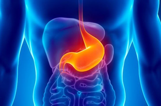 Digestive Conditions -Healix Hospital