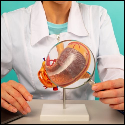 Gastric Bypass Surgery - Healix Hospitals