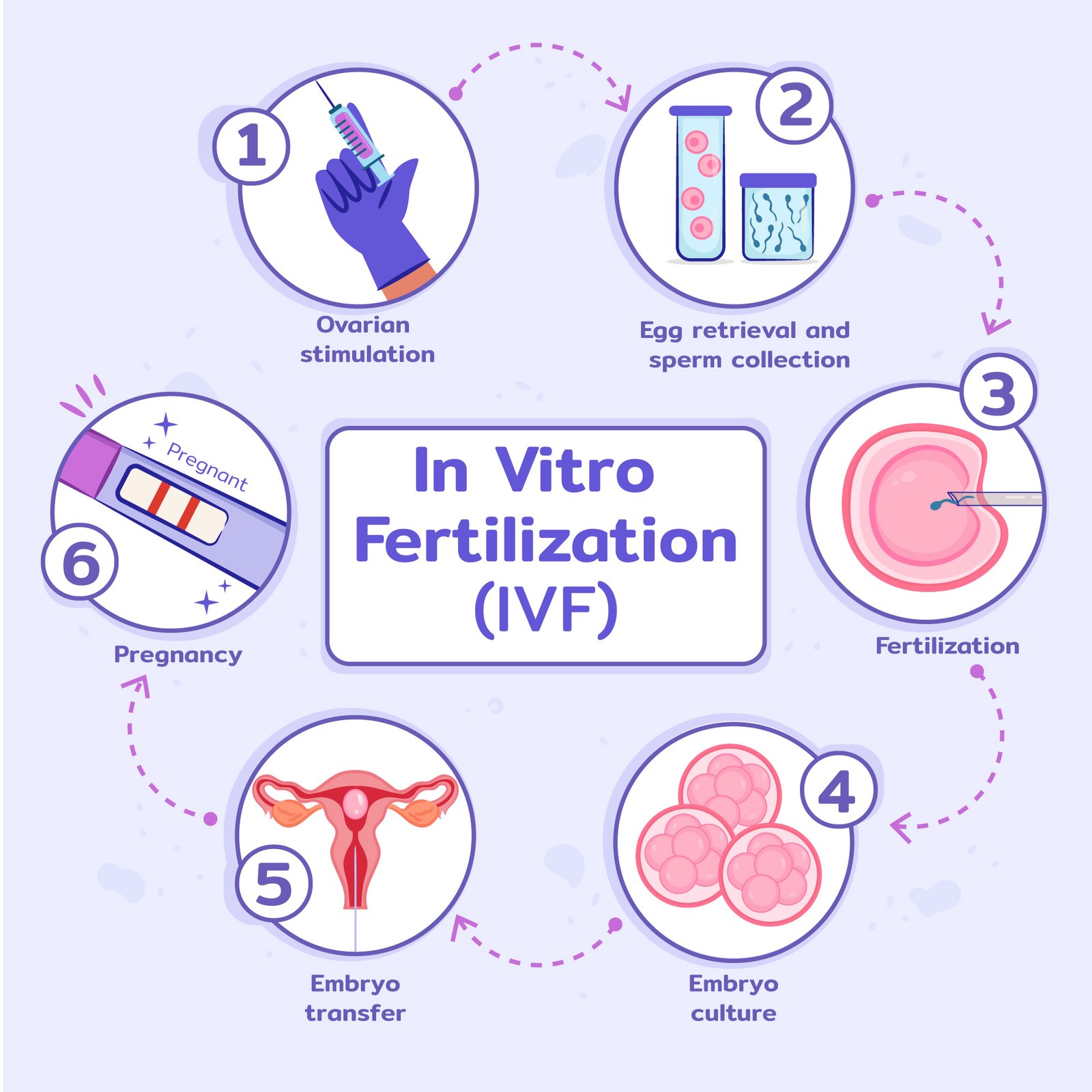 In Vitro Fertilization - Healix Hospital