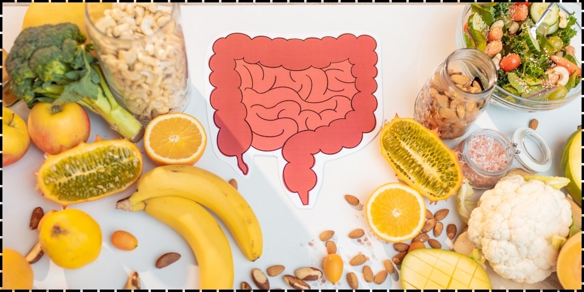 Nutrition in Gastrointestinal Health - Healix Hospitals
