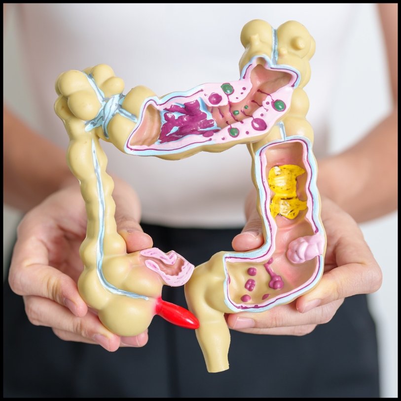 Understanding Digestive Health - Healix Hospitals